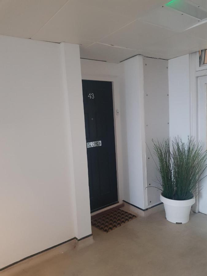 Beautiful 3-Bedroom Flat With Stunning Views 伦敦 外观 照片